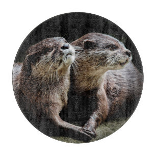 Kutest Baby Animals   Otters Holding Hands Snijplank