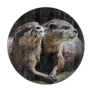 Kutest Baby Animals | Otters Holding Hands Snijplank