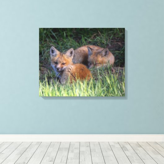 Kutest Baby Animals | Paar van Red Fox Kit Sibling Canvas Afdruk (Insitu (Houten vloer))