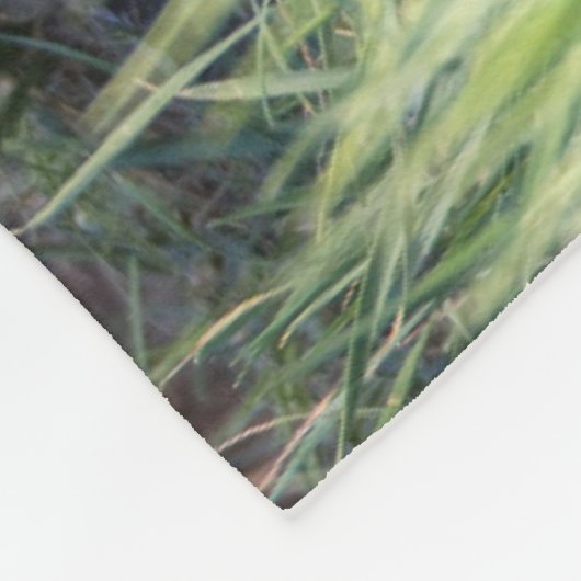 Kutest Baby Animals | Paar van Red Fox Kit Sibling Fleece Deken (Hoek)