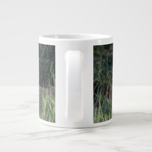 Kutest Baby Animals | Paar van Red Fox Kit Sibling Grote Koffiekop (Achterkant)