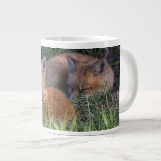 Kutest Baby Animals | Paar van Red Fox Kit Sibling Grote Koffiekop (Voorkant rechts)