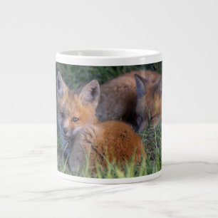 Kutest Baby Animals   Paar van Red Fox Kit Sibling Grote Koffiekop