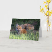 Kutest Baby Animals | Paar van Red Fox Kit Sibling Kaart (Gele Bloem)