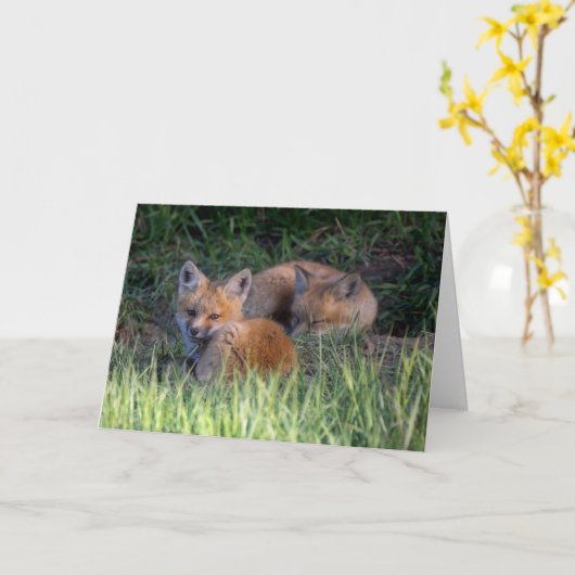 Kutest Baby Animals | Paar van Red Fox Kit Sibling Kaart (Gele Bloem)