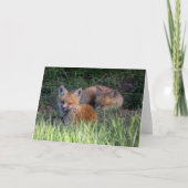 Kutest Baby Animals | Paar van Red Fox Kit Sibling Kaart (Voorkant)