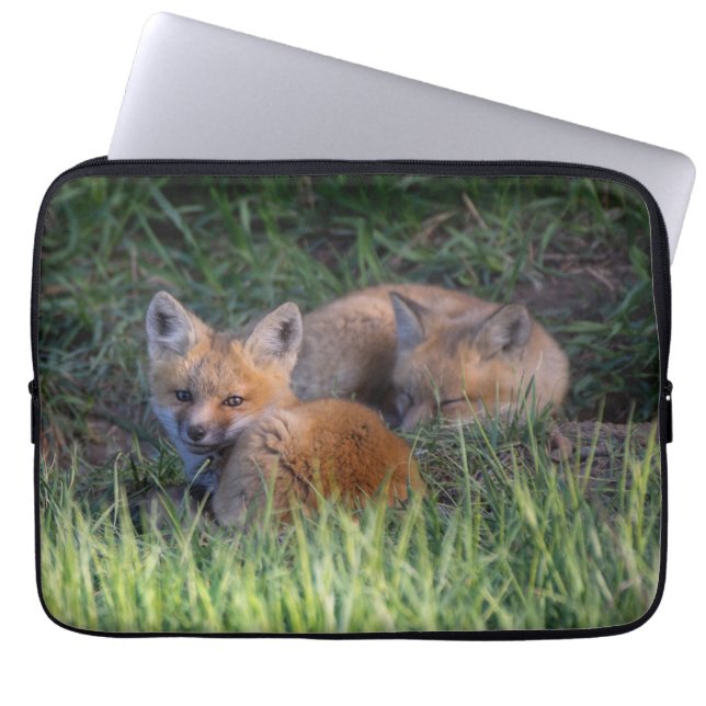 Kutest Baby Animals | Paar van Red Fox Kit Sibling Laptop Sleeve (Voorkant)