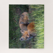 Kutest Baby Animals | Paar van Red Fox Kit Sibling Legpuzzel (Verticaal)