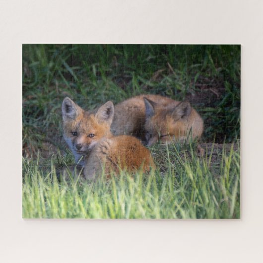Kutest Baby Animals | Paar van Red Fox Kit Sibling Legpuzzel (Horizontaal)