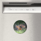 Kutest Baby Animals | Paar van Red Fox Kit Sibling Magneet (Insitu (Vaatwasser))