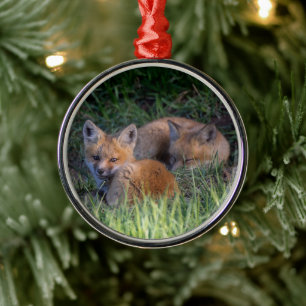 Kutest Baby Animals   Paar van Red Fox Kit Sibling Metalen Ornament
