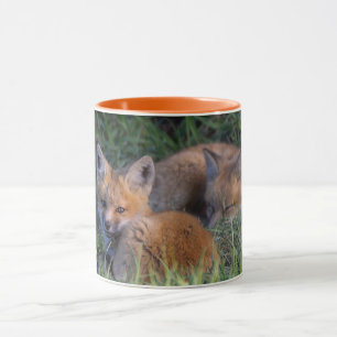 Kutest Baby Animals   Paar van Red Fox Kit Sibling Mok