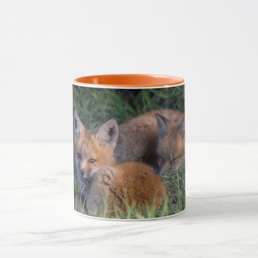 Kutest Baby Animals | Paar van Red Fox Kit Sibling Mok (Midden)