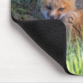 Kutest Baby Animals | Paar van Red Fox Kit Sibling Muismat (Hoek)