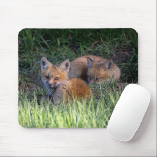 Kutest Baby Animals   Paar van Red Fox Kit Sibling Muismat
