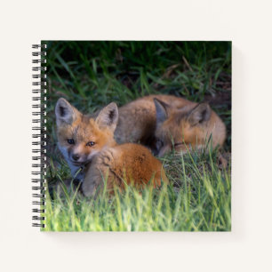 Kutest Baby Animals Paar van Red Fox Kit Sibling Notitieboek