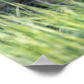 Kutest Baby Animals | Paar van Red Fox Kit Sibling Poster (Hoek)