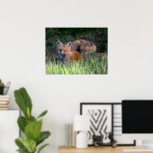 Kutest Baby Animals | Paar van Red Fox Kit Sibling Poster (Thuiskantoor)