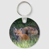Kutest Baby Animals | Paar van Red Fox Kit Sibling Sleutelhanger (Achterkant)