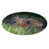 Kutest Baby Animals | Paar van Red Fox Kit Sibling Snijplank (Hoek)