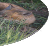 Kutest Baby Animals | Paar van Red Fox Kit Sibling Snijplank (Hoek)