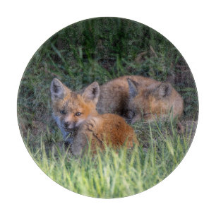 Kutest Baby Animals Paar van Red Fox Kit Sibling Snijplank