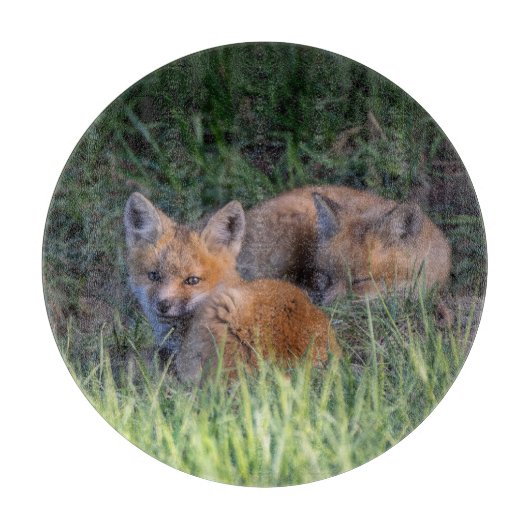 Kutest Baby Animals | Paar van Red Fox Kit Sibling Snijplank (Voorkant)