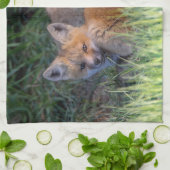 Kutest Baby Animals | Paar van Red Fox Kit Sibling Theedoek (Gevouwen)