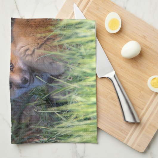 Kutest Baby Animals | Paar van Red Fox Kit Sibling Theedoek (Quarter Fold)