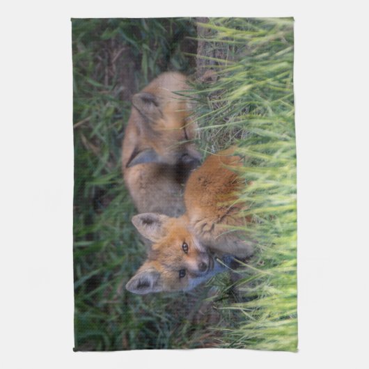Kutest Baby Animals | Paar van Red Fox Kit Sibling Theedoek (Verticaal)