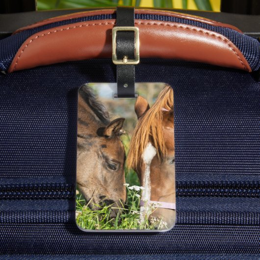 Kutest Baby Animals | Paardenkool Bagagelabel (Voorkant Insitu 2)