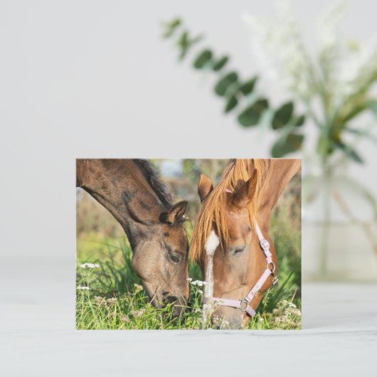 Kutest Baby Animals | Paardenkool Briefkaart (Staand voorkant)