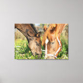 Kutest Baby Animals | Paardenkool Canvas Afdruk (Voorkant)