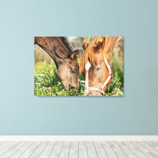 Kutest Baby Animals | Paardenkool Canvas Afdruk (Insitu (Houten vloer))