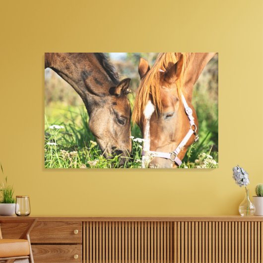 Kutest Baby Animals | Paardenkool Canvas Afdruk (Insitu (Woonkamer))