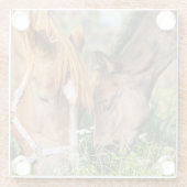 Kutest Baby Animals | Paardenkool Glazen Onderzetter (Achterkant)