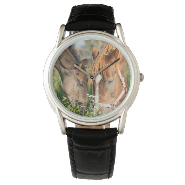 Kutest Baby Animals | Paardenkool Horloge (Voorkant)