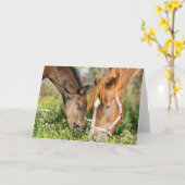 Kutest Baby Animals | Paardenkool Kaart (Gele Bloem)