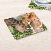 Kutest Baby Animals | Paardenkool Kartonnen Onderzetters (Schuin)