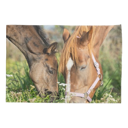 Kutest Baby Animals | Paardenkool Kussensloop (Achterkant)