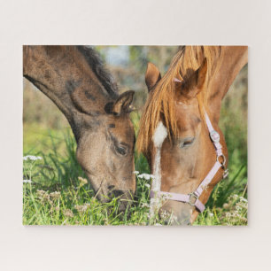 Kutest Baby Animals   Paardenkool Legpuzzel