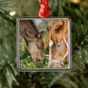Kutest Baby Animals   Paardenkool Metalen Ornament
