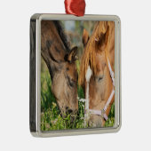Kutest Baby Animals | Paardenkool Metalen Ornament (Rechts)