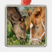 Kutest Baby Animals | Paardenkool Metalen Ornament (Voorkant)