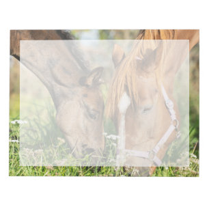 Kutest Baby Animals Paardenkool Notitieblok