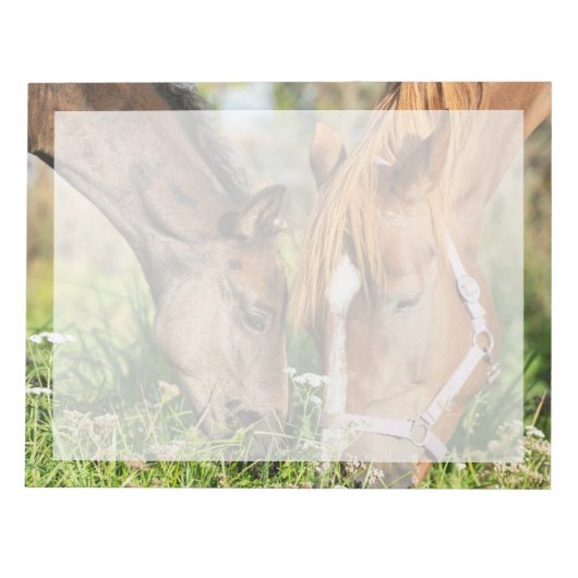 Kutest Baby Animals | Paardenkool Notitieblok (Voorkant)