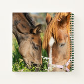 Kutest Baby Animals | Paardenkool Notitieboek (Achterkant)