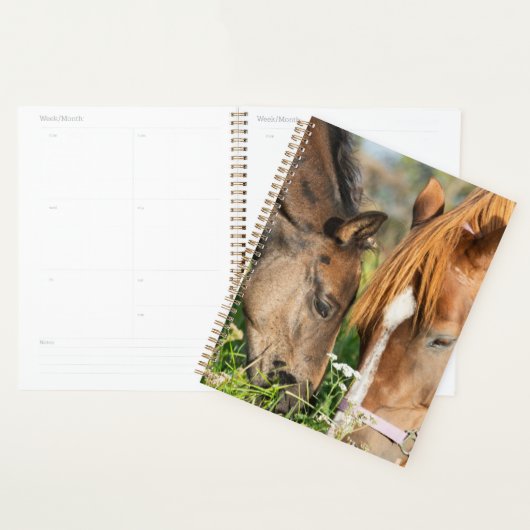 Kutest Baby Animals | Paardenkool Planner