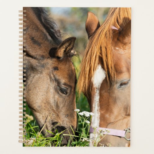 Kutest Baby Animals | Paardenkool Planner (Voorkant)