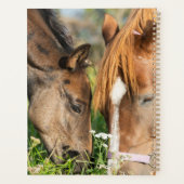 Kutest Baby Animals | Paardenkool Planner